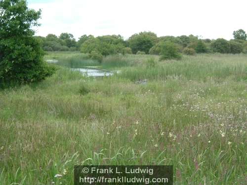 Around Lough Arrow